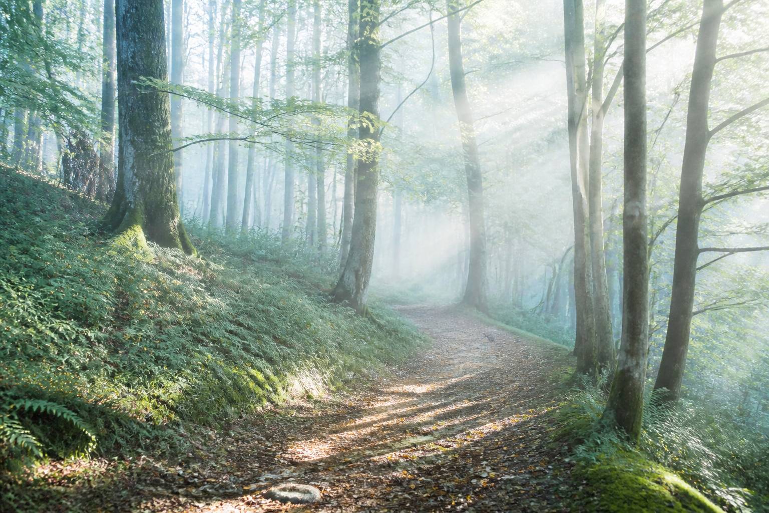 5 sources d’inspiration pour vivre l’instant présent