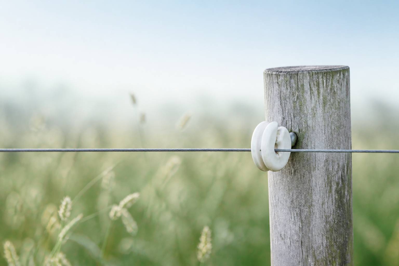 Gros plan sur un isolateur en ceramique fixe a un piquet de cloture avec le fil tendu