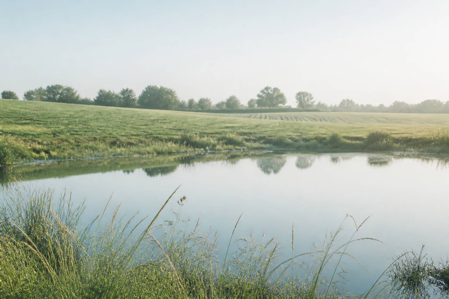 Mare de rétention d'eau bordée d'herbes dans un pré en pente