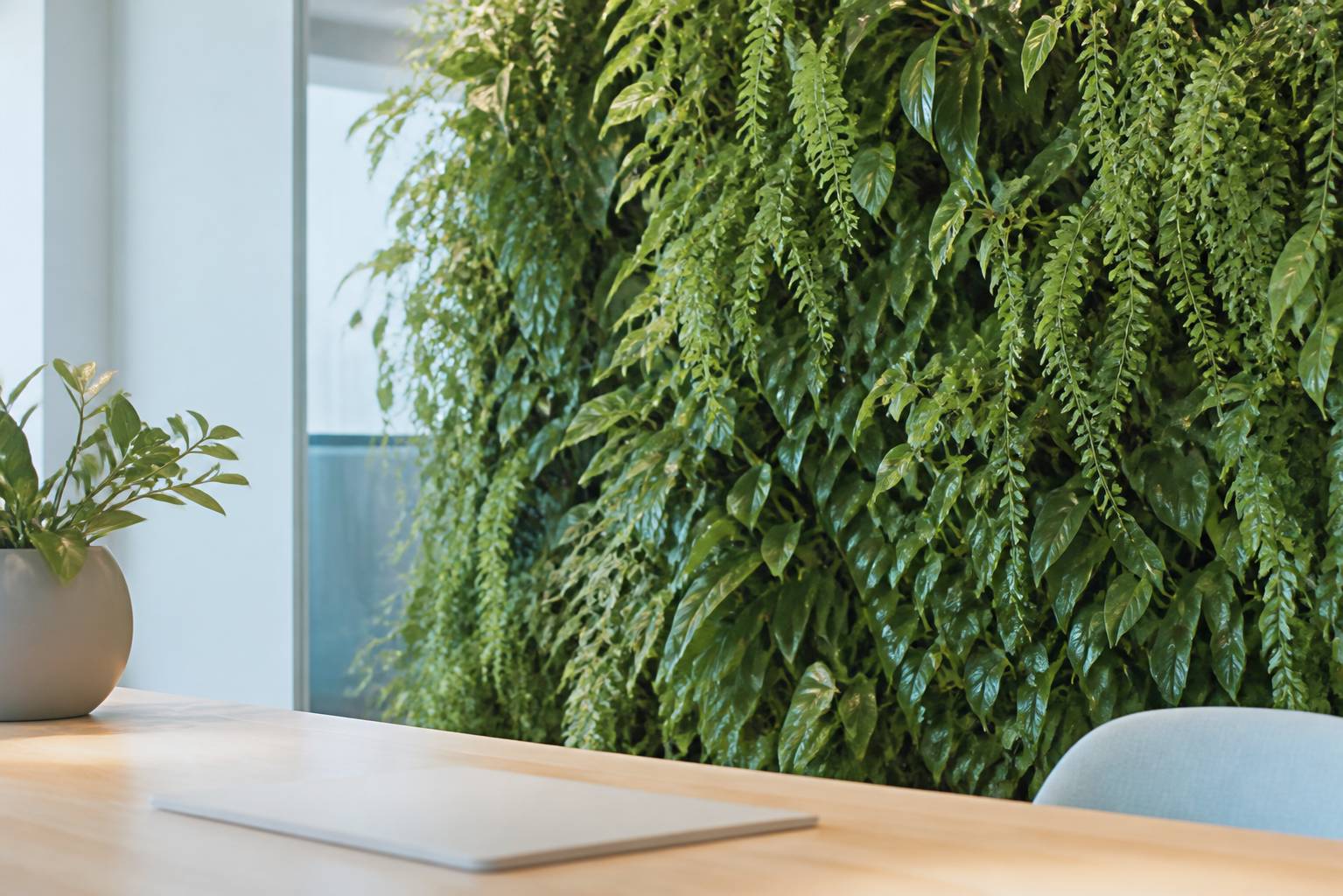 Mur végétal luxuriant dans un bureau éco-responsable